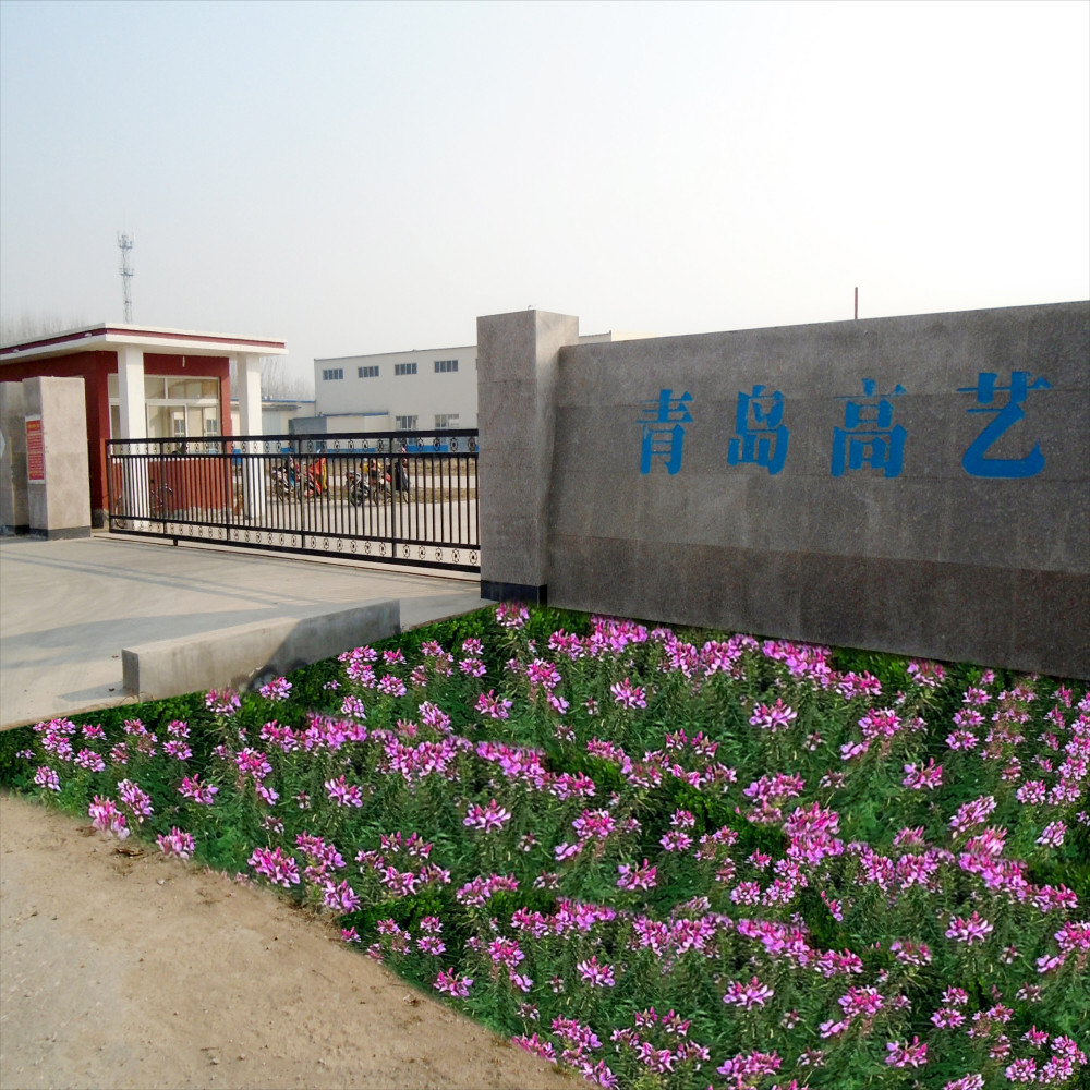 Китай Qingdao High Art Glass Co., Ltd.